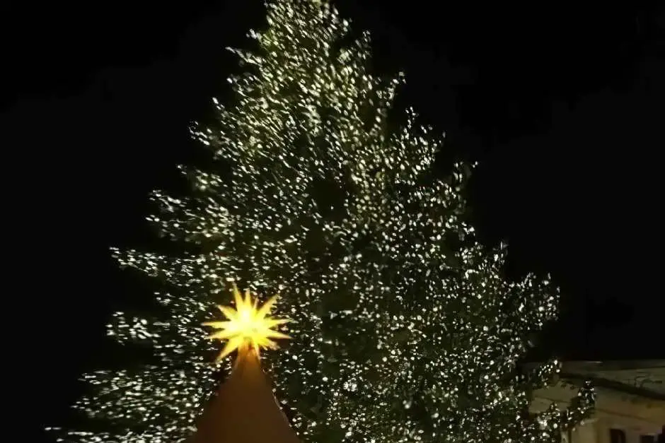 Christbaum am Weihnachtsmarkt