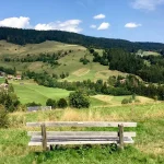 People Abroad picnic area in the Black Forest