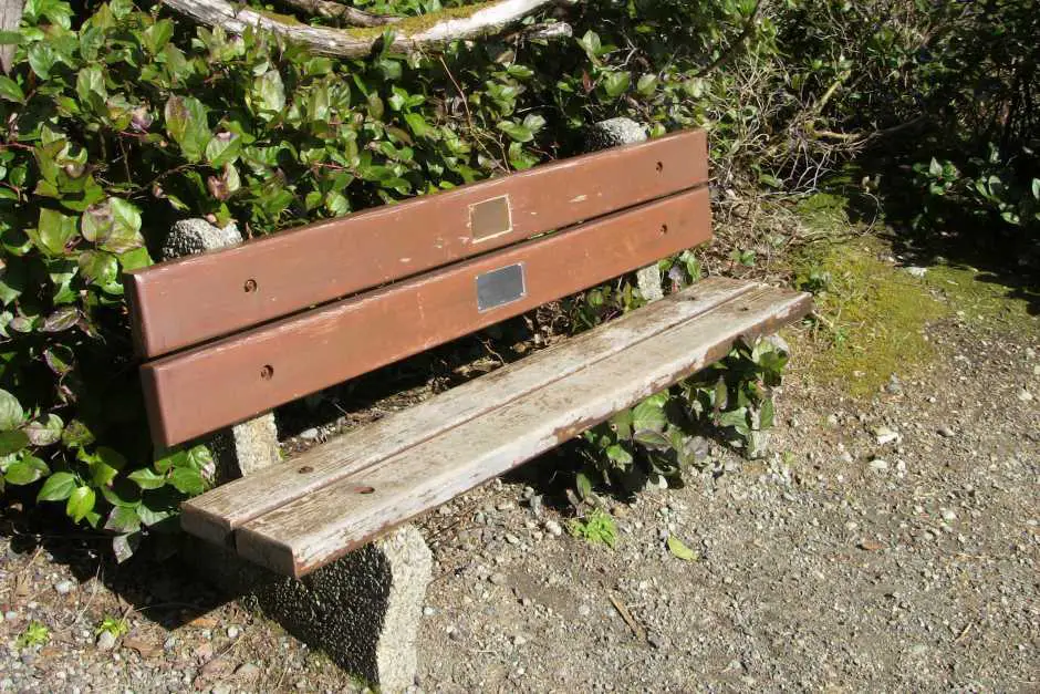 Bench at the Wild Pacific Trail Lighthouse Loop