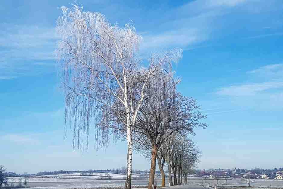 Winter Wellness in Österreich