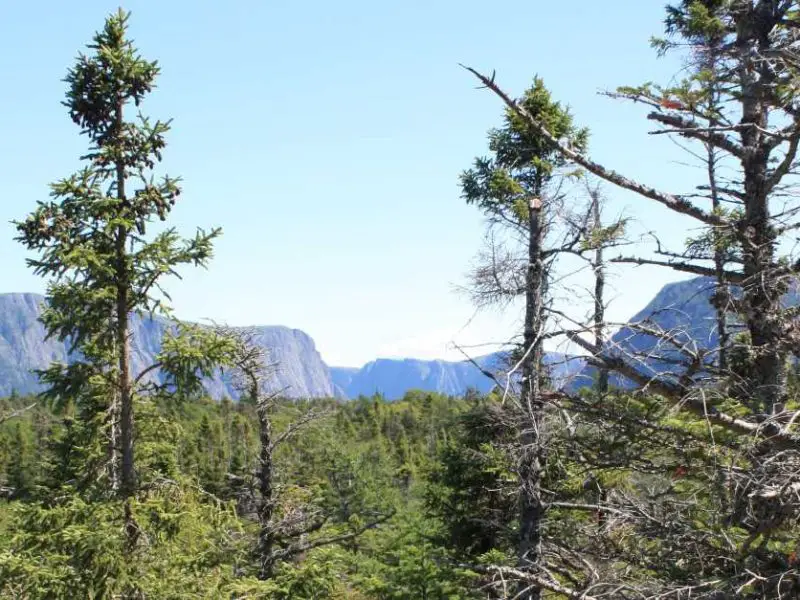 Gros Morne National Park