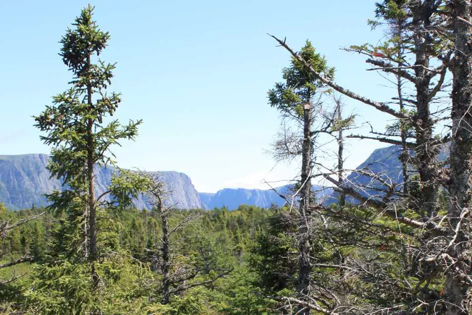 Accommodations in Gros Morne National Park