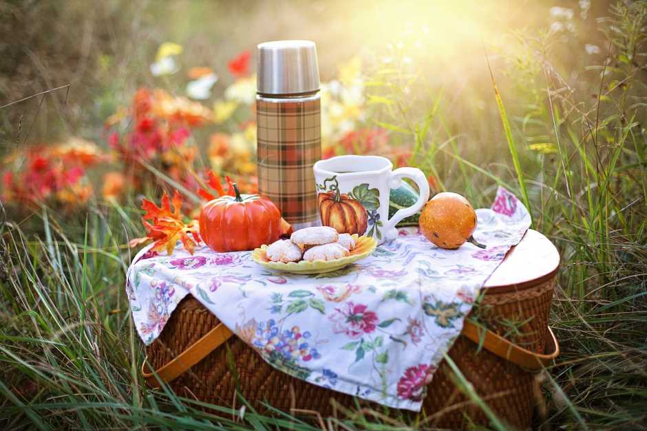 Picnic in the fall