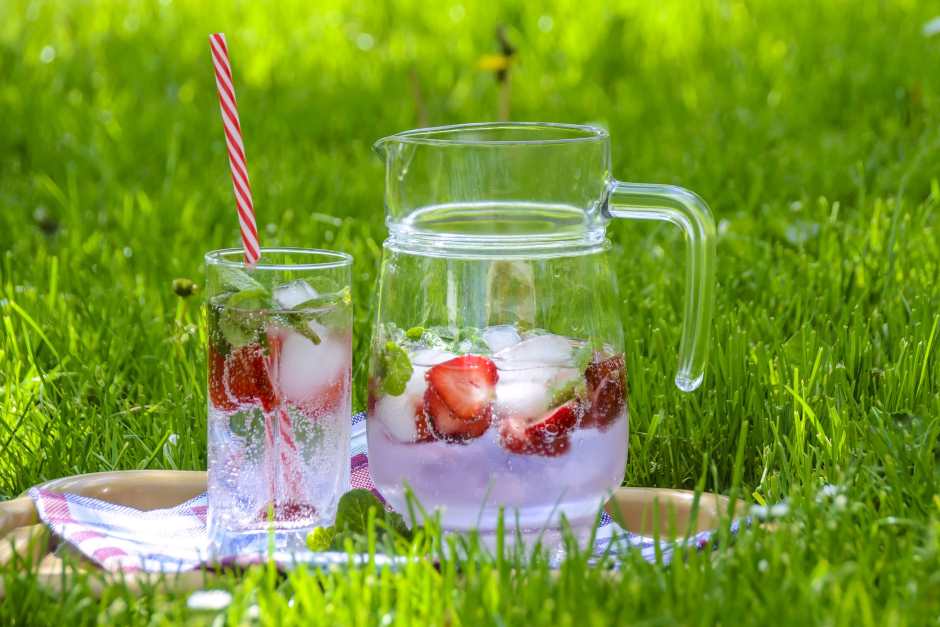 a cool box for camping keeps the strawberry drink cool at the picnic