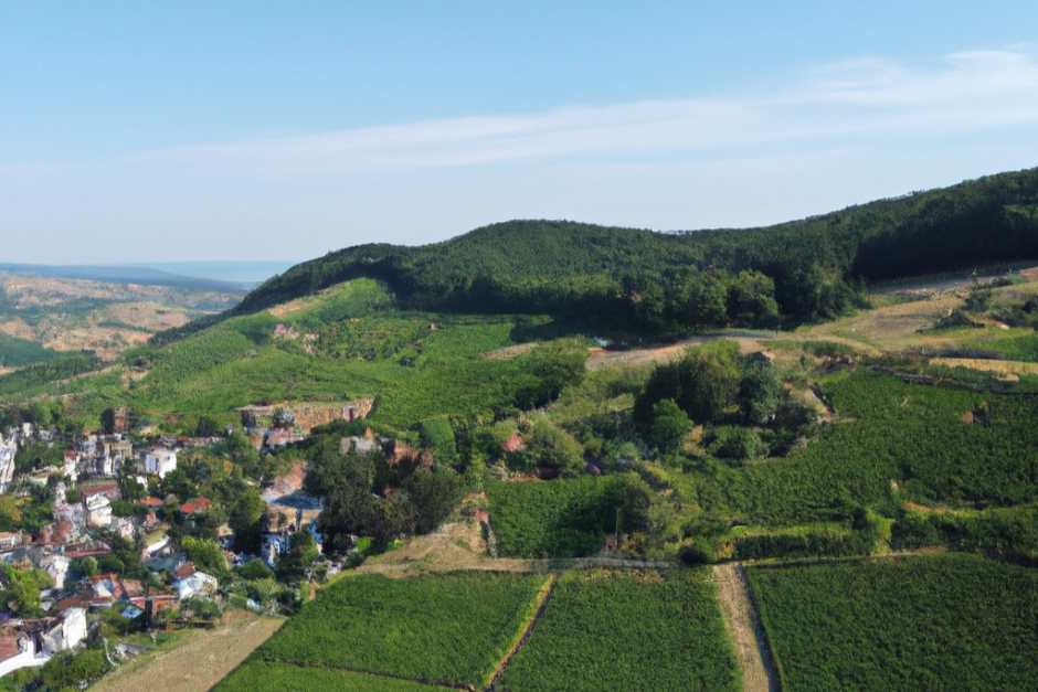 Weinregon near Wiesenbronn (AI)