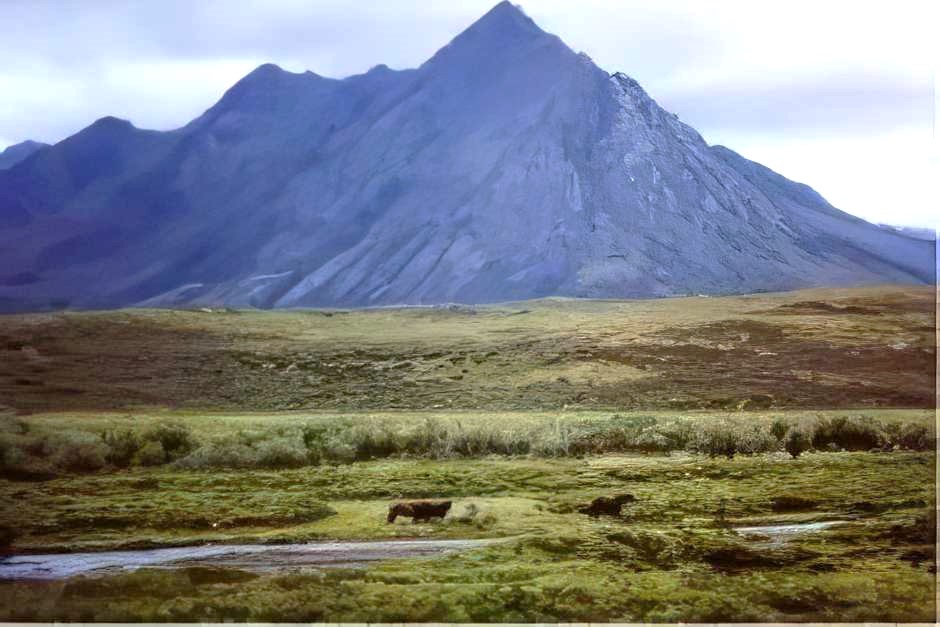 Unterwegs auf dem Dempster Highway in die Northwest Territories in Kanada