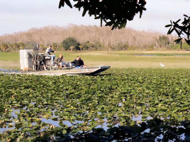 Airboat in Big Cypress National Preserve