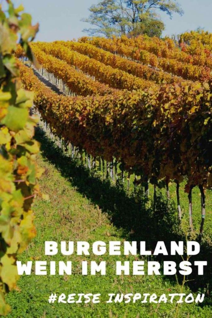 Autumn and wine in Burgenland