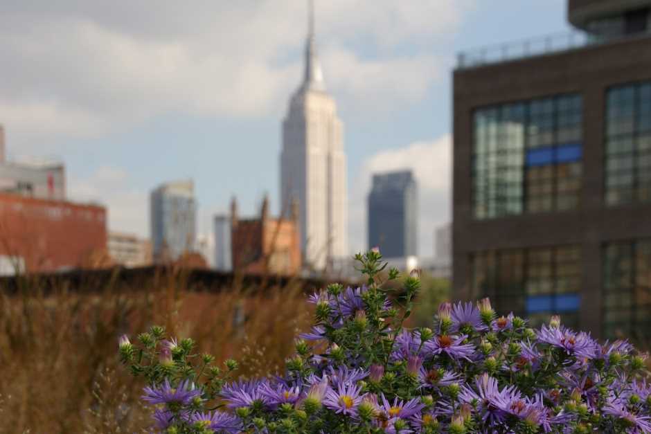 Die High Line in New York City