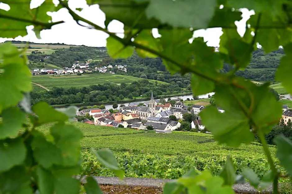 Mosel Wanderweg in Luxemburg