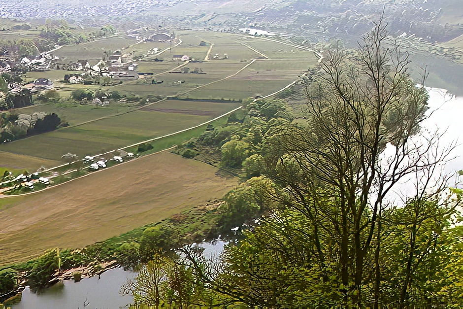 Camping on the Moselle