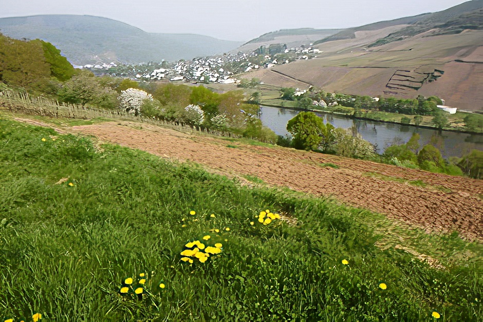 In the middle of nature on the Moselle