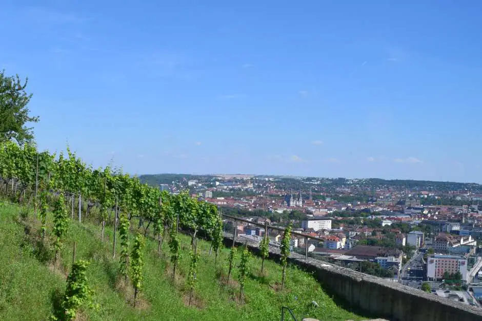 Weinberge über der Stadt