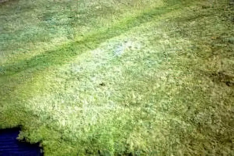 Grizzly in der Tundra - Flug von Inuvik ans Eismeer und Herschel Island