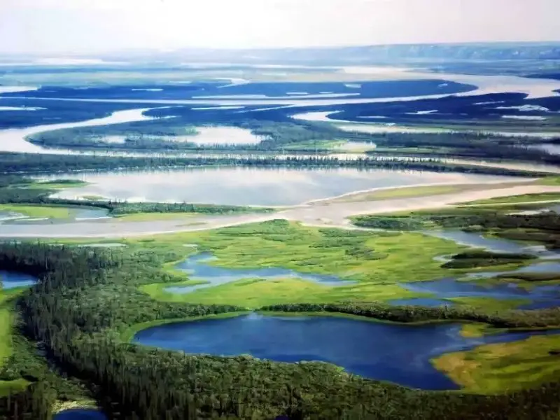 Mackenzie Delta