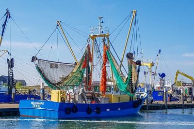 Fischerboot in Oudeschild