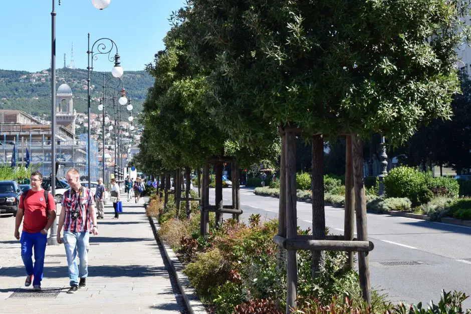 Holidays in Trieste on the promenade