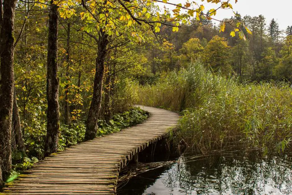 Hiking trail at the Plitvice Lakes