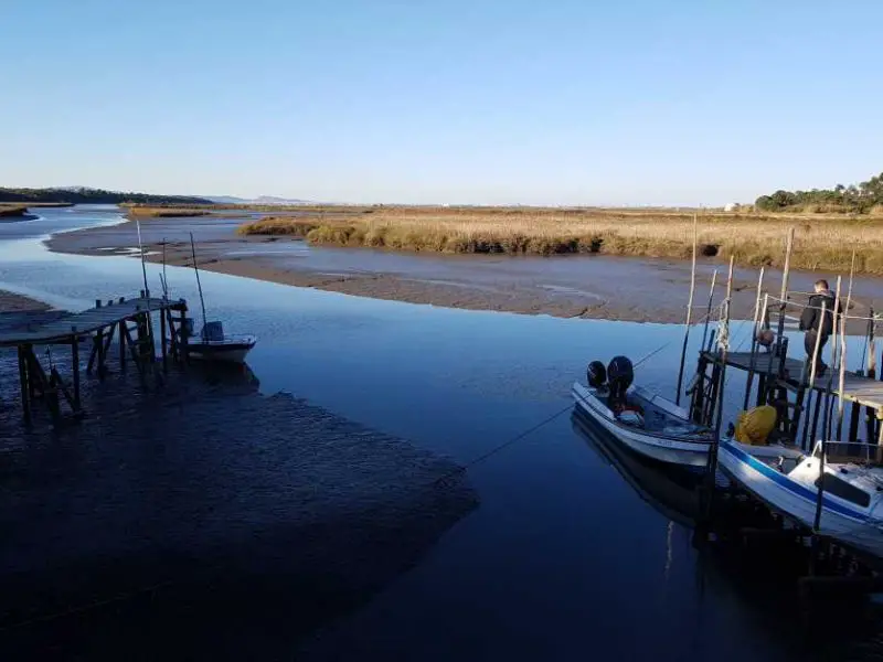 On the Sado River