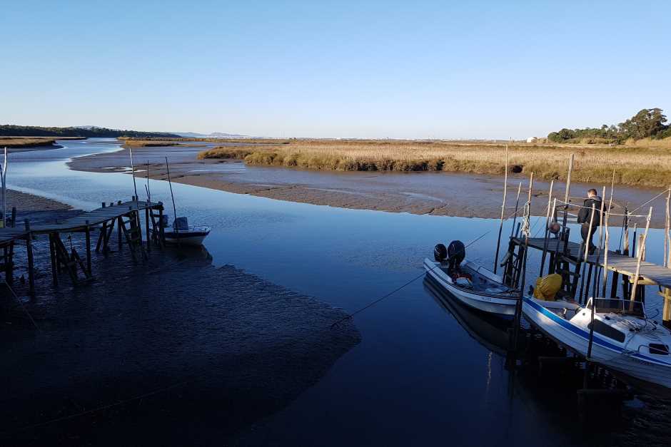 On the Sado River