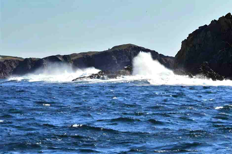 Surf in front
