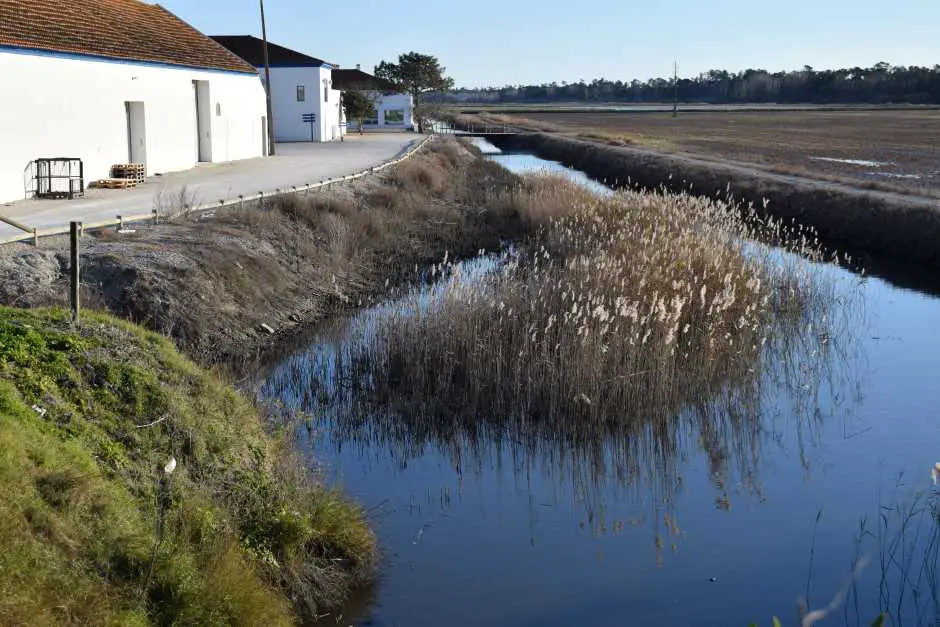 Comporta Reiseanbau