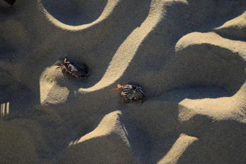 Sand und Sonne