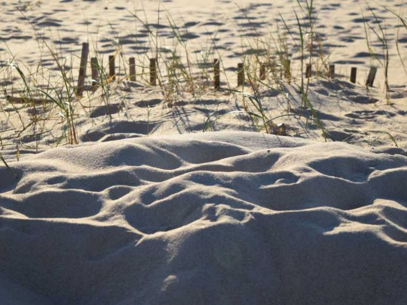 Sandy beach for your Comporta vacation