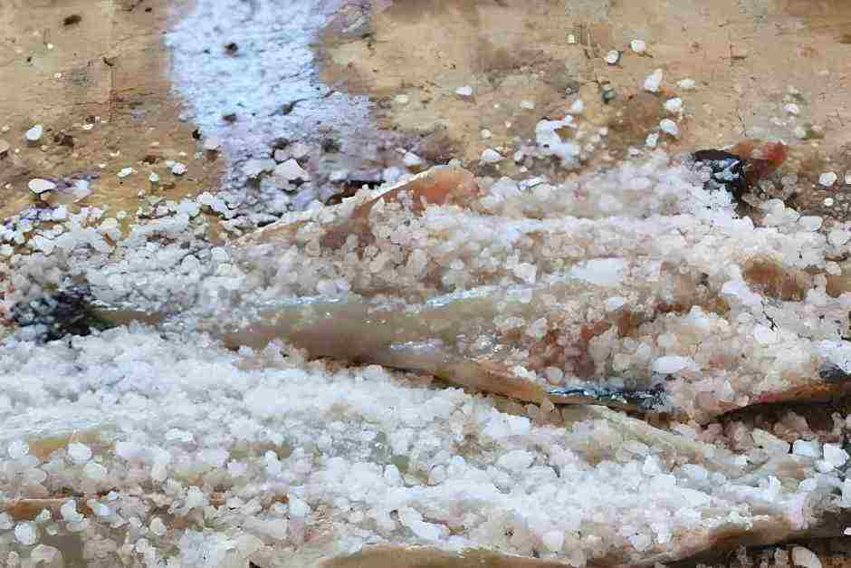 Salt fish, a product of