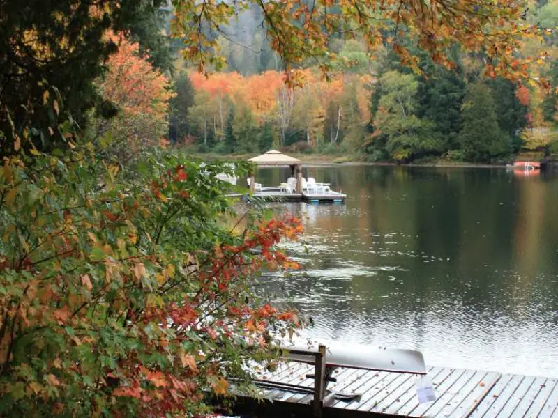 Algonquin Park accommodation