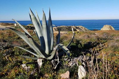 View of the Atlantic at Porto Covo