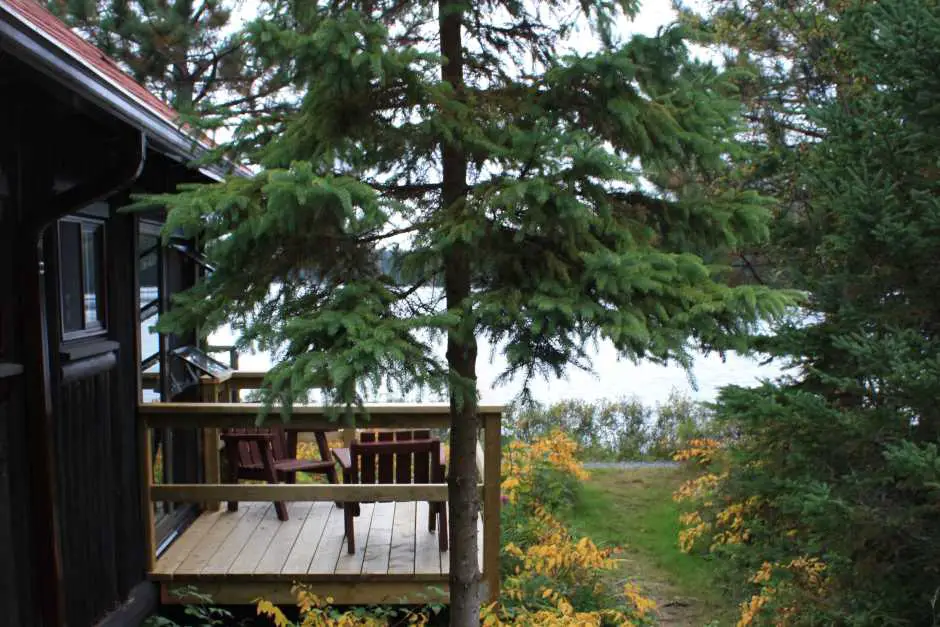 Lakefront Cottage in Algonquin Park