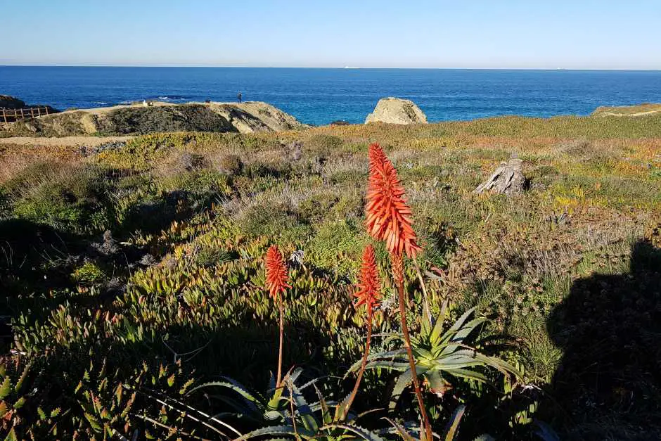 Porto Covo Küste