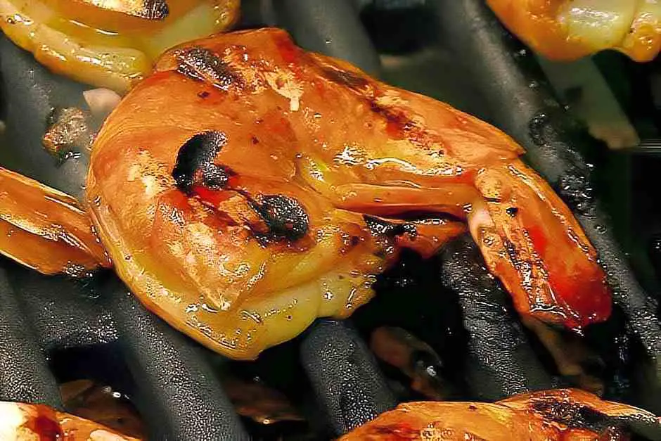 Gas grill recipes for beginners