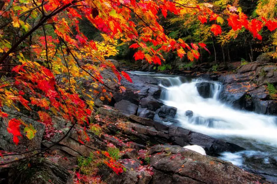 Im Algonquin Park