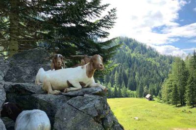 Lower Austria Holidays