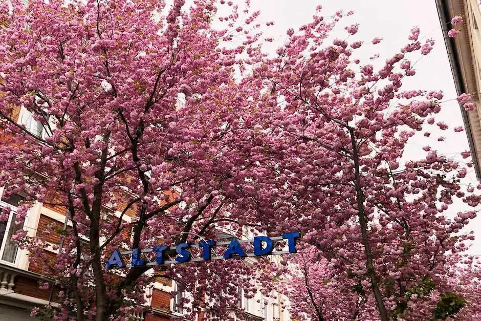 Bonn - Schönste Städte am Rhein