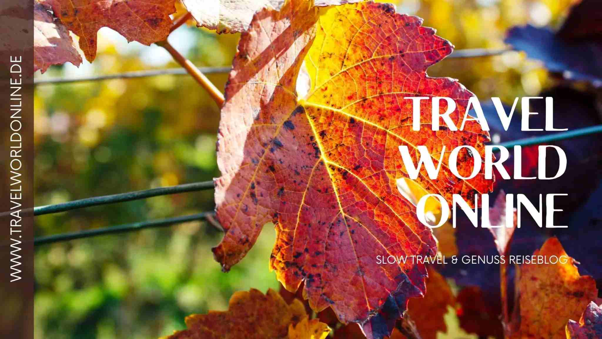 Slow Travel & Food and Travel blog TravelWorldOnline