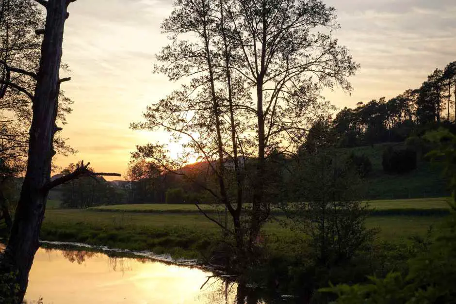 Die Natur bei Regensburg