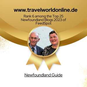 Ranked 6th in the Top 25 Newfoundland Blogs