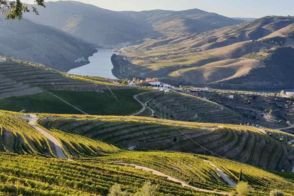 Wine region on the Douro