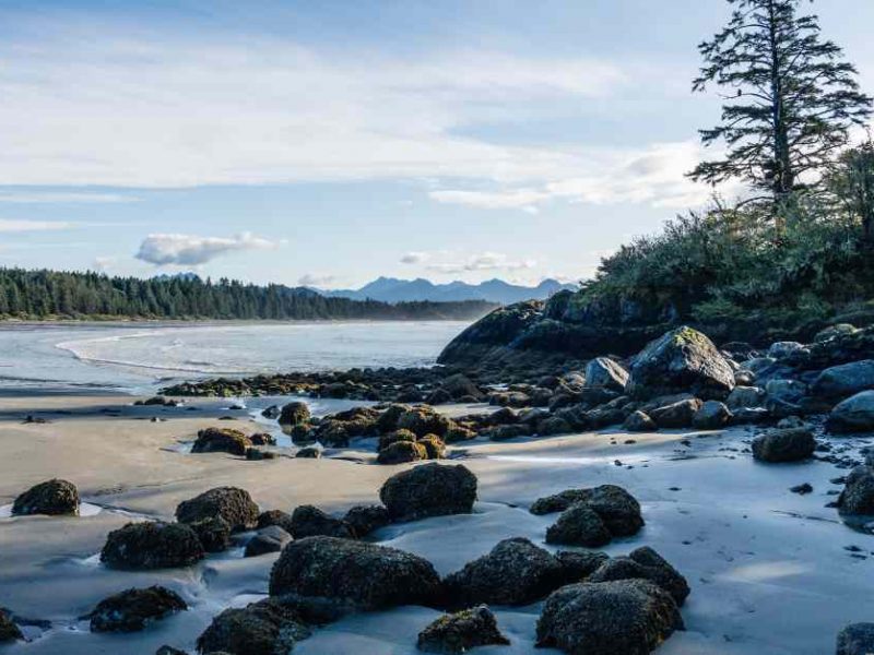 Beach at Vancouver Island Spa Hotels