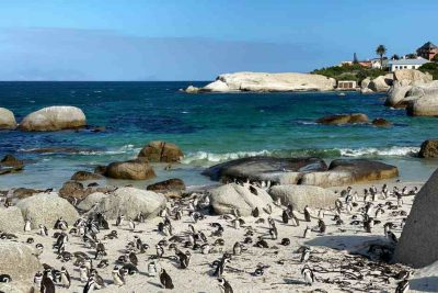 Simon's Town South Africa