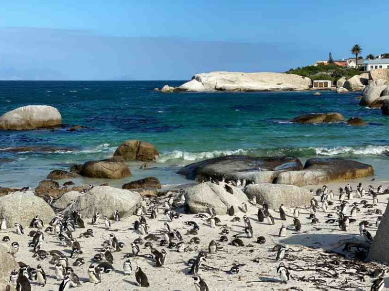 Simon's Town South Africa