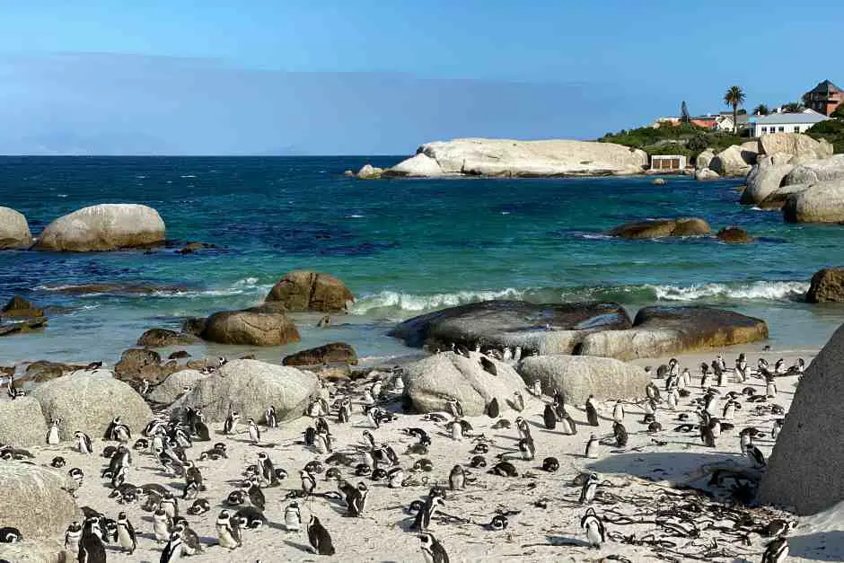 Simons Town Südafrika