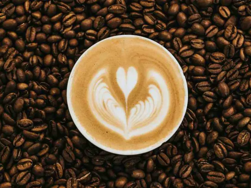Texel Coffee
