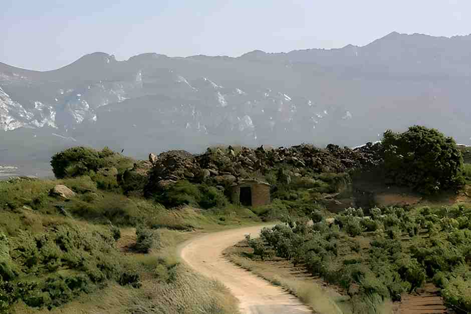 Road through vineyards in Rioja
