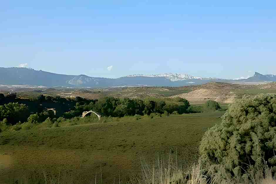 Wine tourism in Rioja
