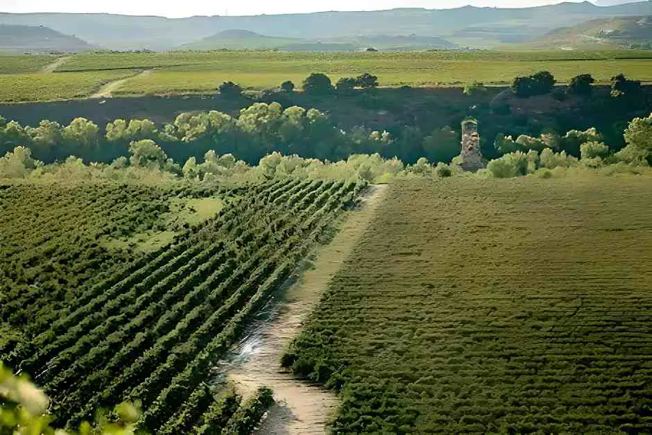 Rioja Alavesa MRK