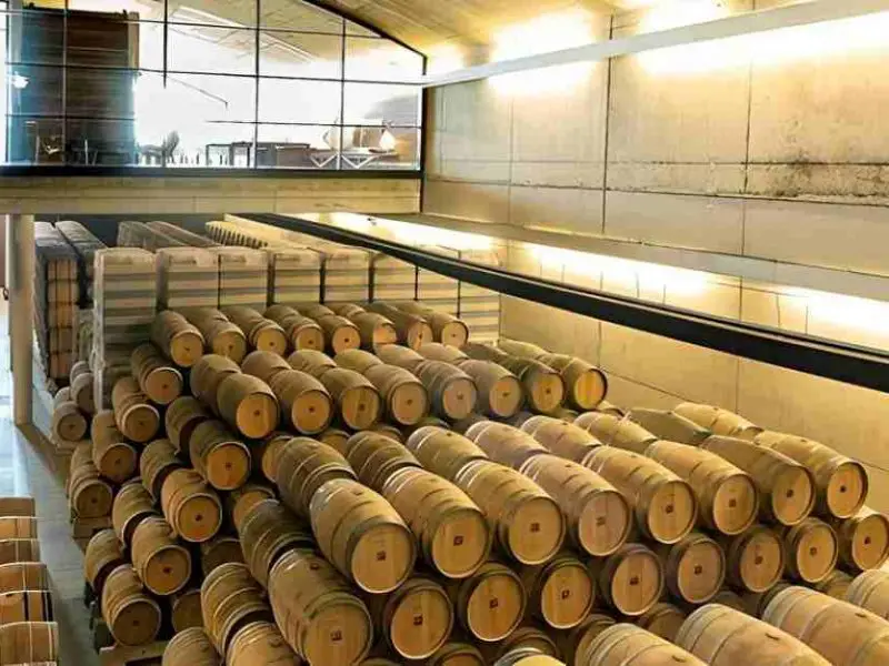 Rioja Weintourismus